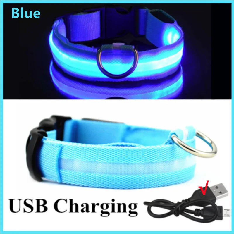Hundehalsband LED USB Aufladbar