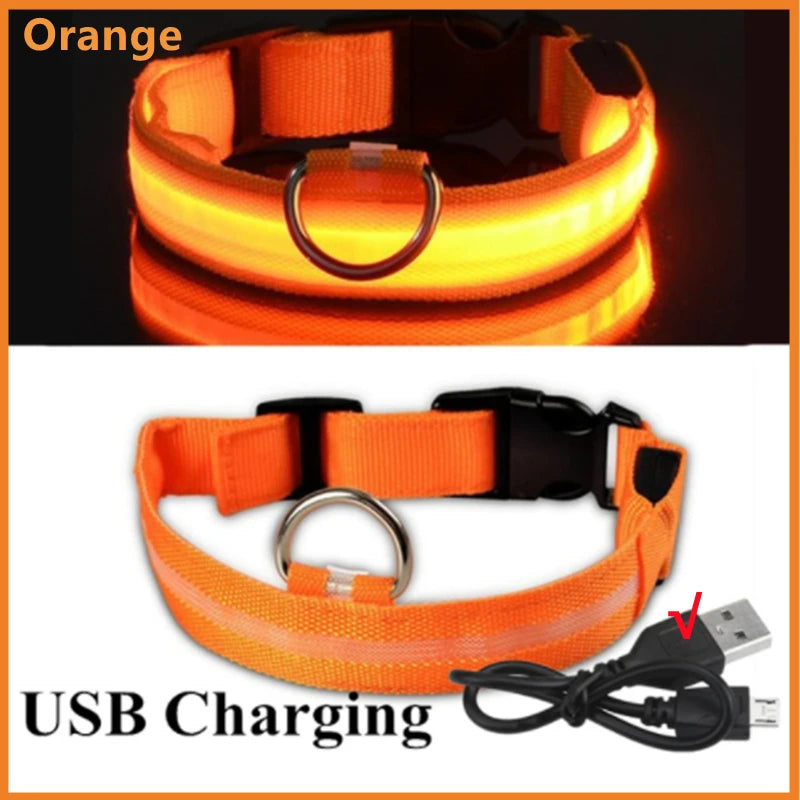 Hundehalsband LED USB Aufladbar