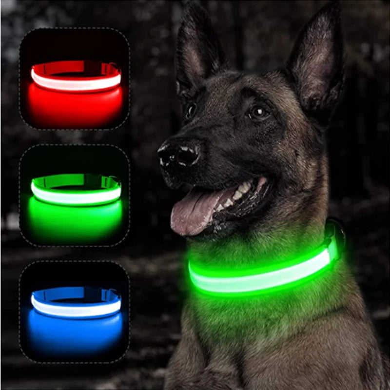 Hundehalsband LED USB Aufladbar