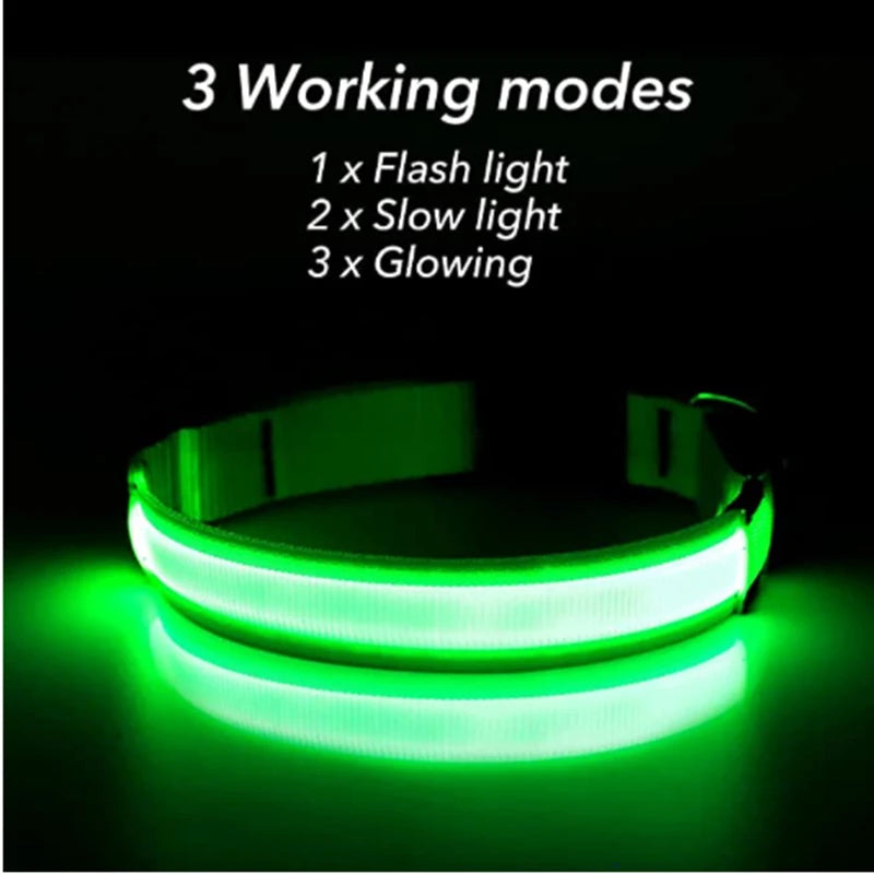 Hundehalsband LED USB Aufladbar