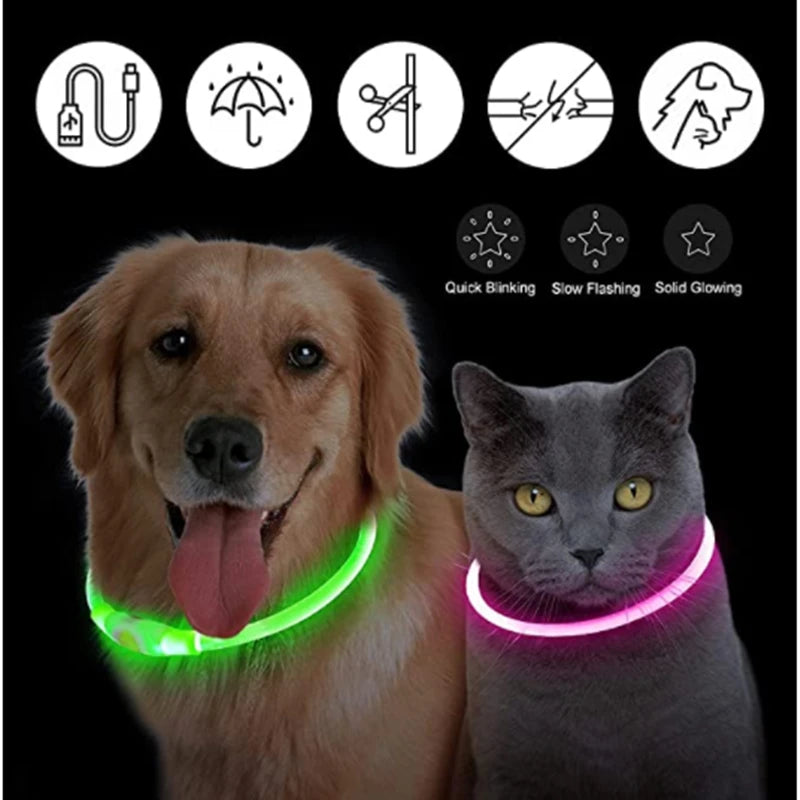 Hundehalsband LED USB Aufladbar
