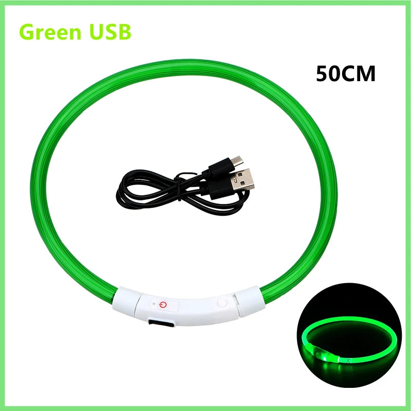 Hundehalsband LED USB Aufladbar
