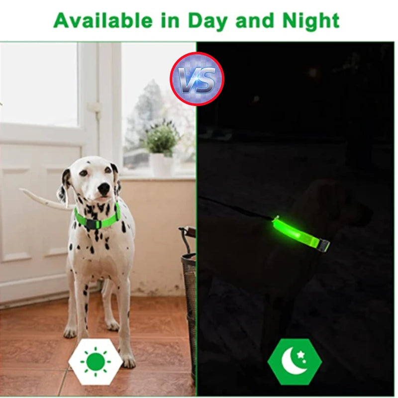 Hundehalsband LED USB Aufladbar