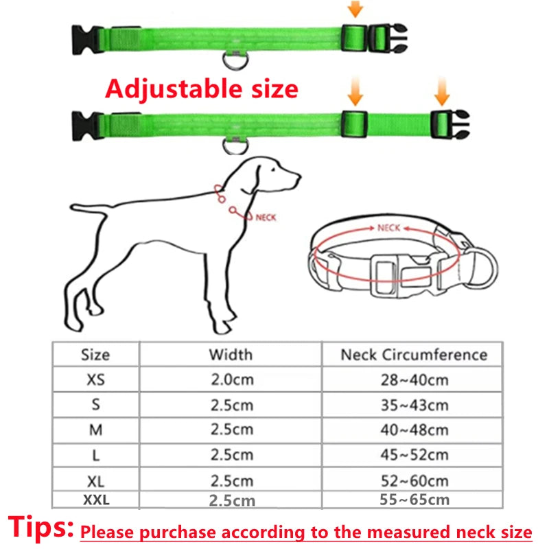 Hundehalsband LED USB Aufladbar