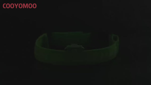 Hundehalsband LED USB Aufladbar