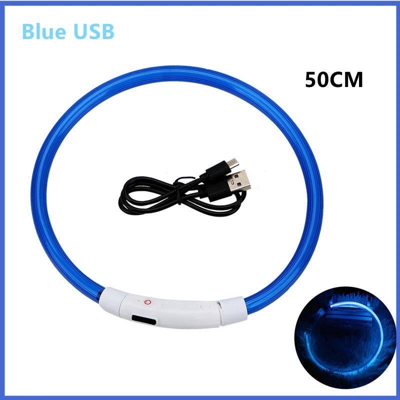 Hundehalsband LED USB Aufladbar