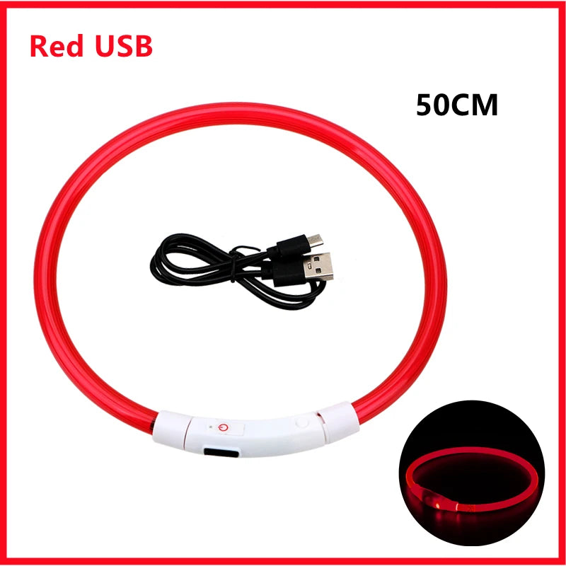 Hundehalsband LED USB Aufladbar