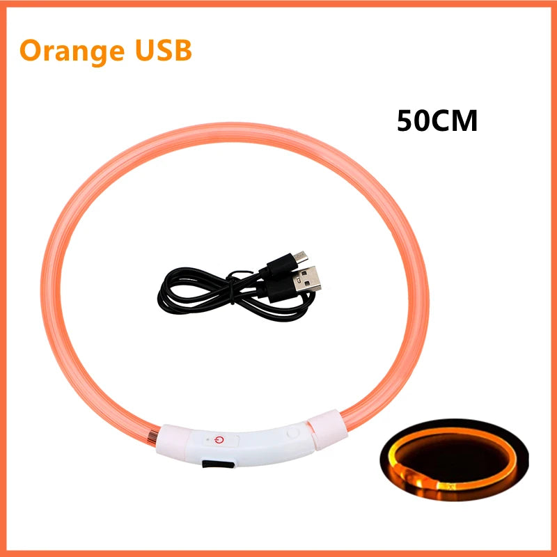 Hundehalsband LED USB Aufladbar
