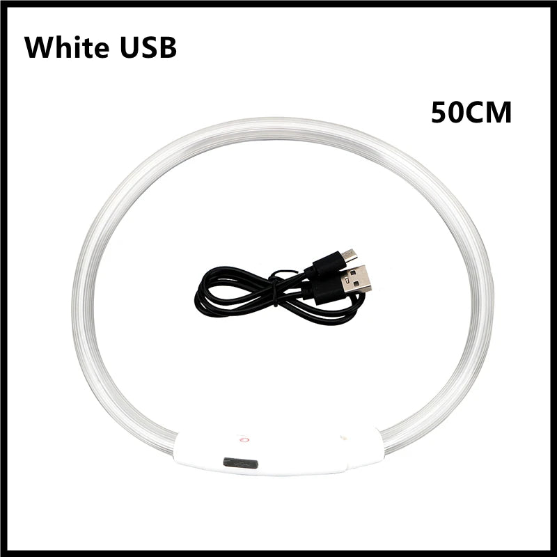 Hundehalsband LED USB Aufladbar