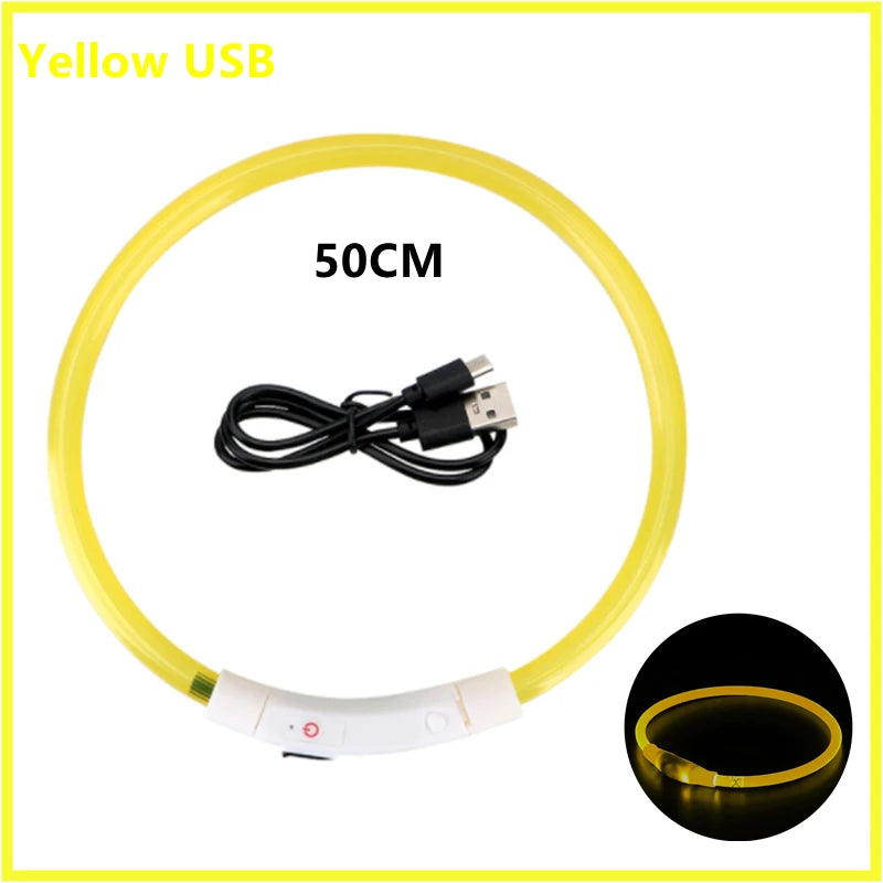 Hundehalsband LED USB Aufladbar