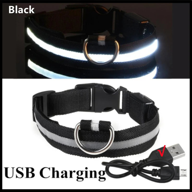 Hundehalsband LED USB Aufladbar