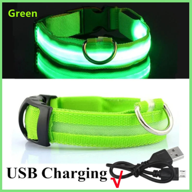 Hundehalsband LED USB Aufladbar