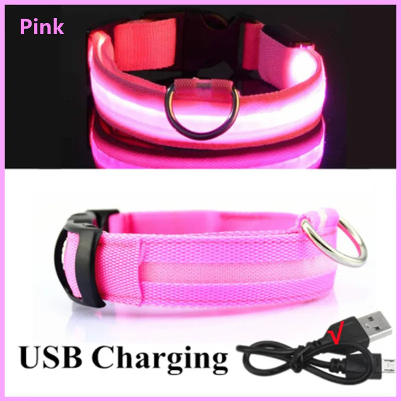 Hundehalsband LED USB Aufladbar