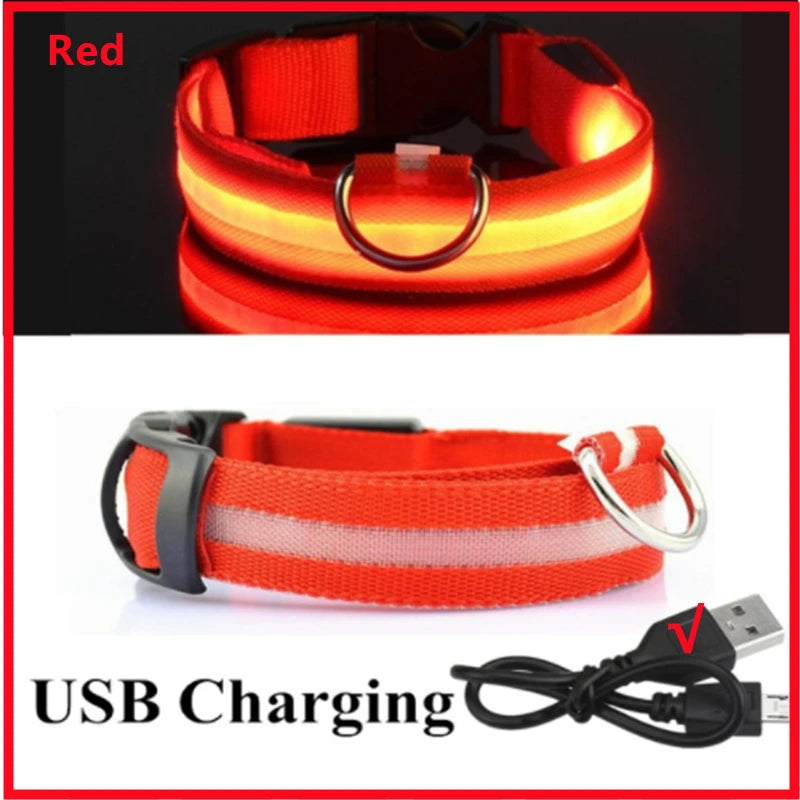 Hundehalsband LED USB Aufladbar