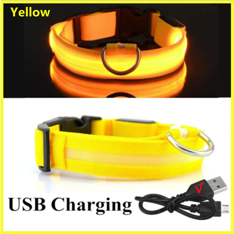 Hundehalsband LED USB Aufladbar